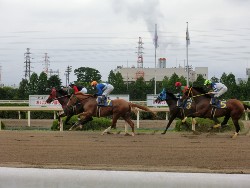 その田競馬『おお浜のポン酢特別レース』協賛